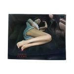 Автомобильный матрас с насосом — изображение 3